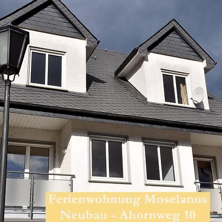 Ferienwohnungen Ferienland Cochem Бруттиг-Фанкель Экстерьер фото