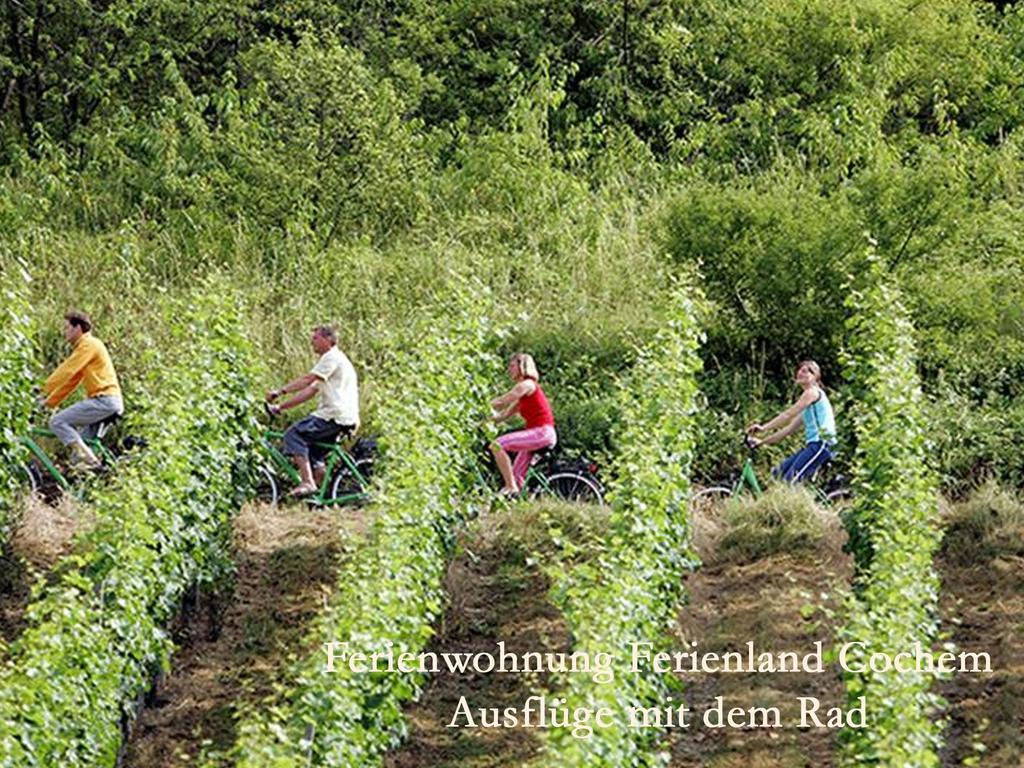 Ferienwohnungen Ferienland Cochem Бруттиг-Фанкель Экстерьер фото
