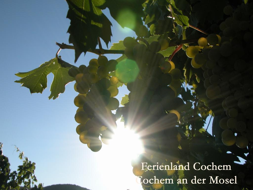 Ferienwohnungen Ferienland Cochem Бруттиг-Фанкель Экстерьер фото