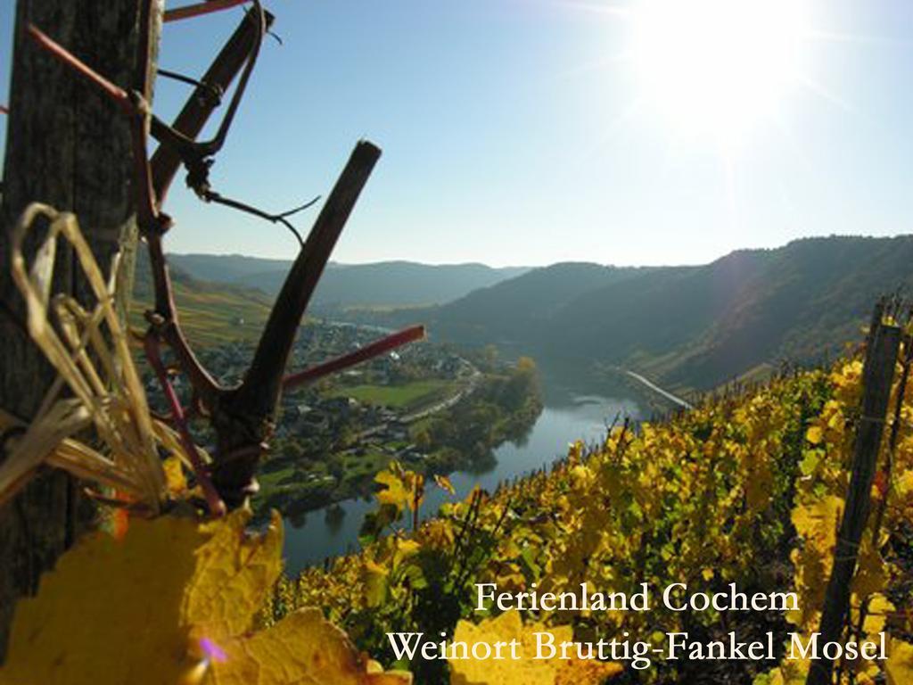 Ferienwohnungen Ferienland Cochem Бруттиг-Фанкель Экстерьер фото